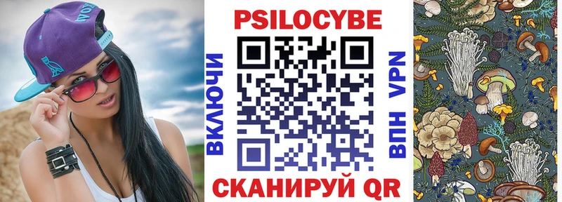 где найти наркотики Саяногорск blacksprut ONION Галлюциногенные грибы Psilocybe