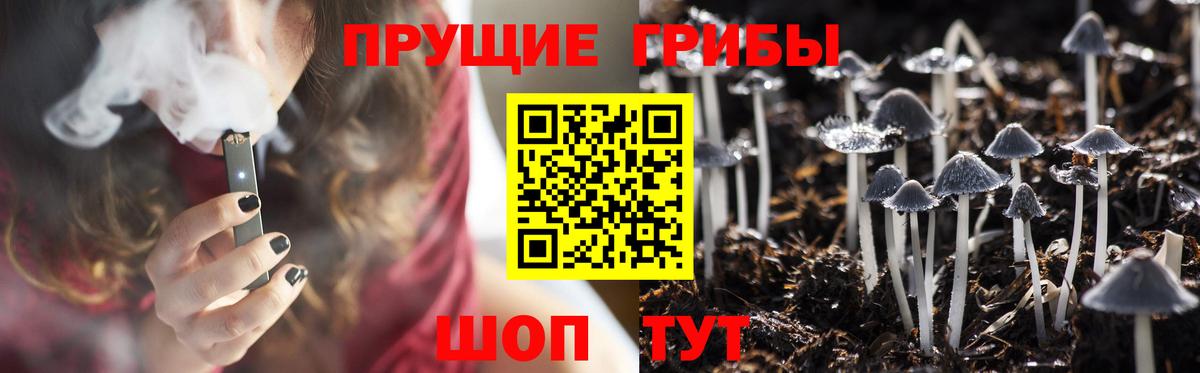 Галлюциногенные грибы мухоморы  Вход с VPN  сколько стоит  Саяногорск  Галлюциногенные грибы прущие грибы 